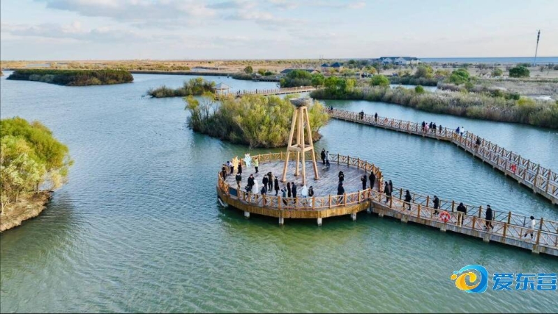 作上继续失 作上继续失