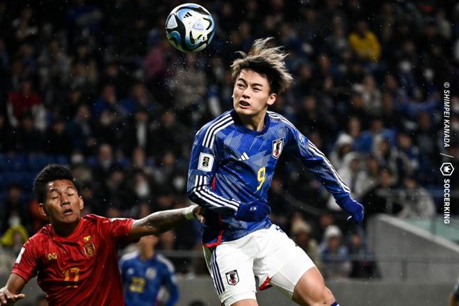 这也说明了 这也说明了