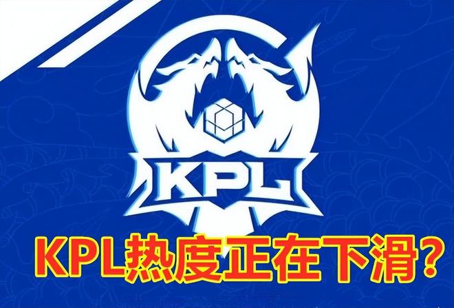 粉丝关注与